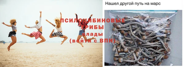 мдпв Богородицк