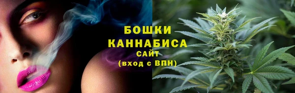 мдпв Богородицк