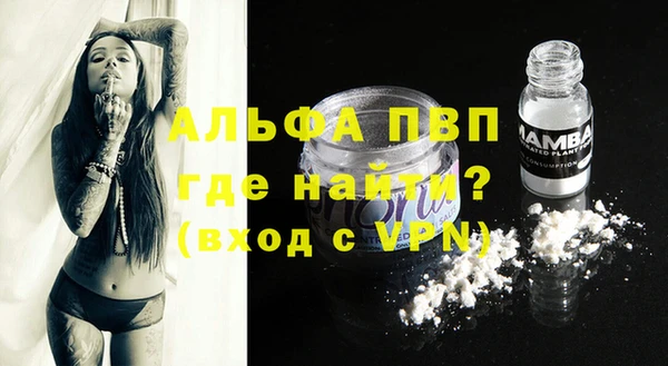 стафф Богданович