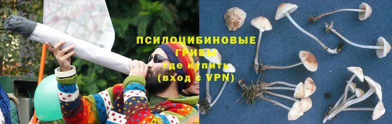 Псилоцибиновые грибы Magic Shrooms  OMG зеркало  Вилюйск 