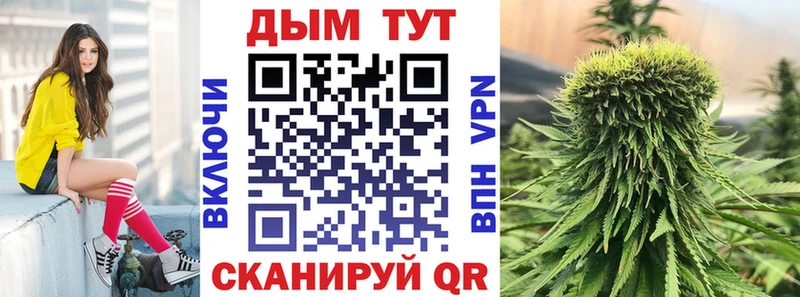 darknet официальный сайт  наркота  кракен ссылки  Вилюйск  Марихуана Ganja 